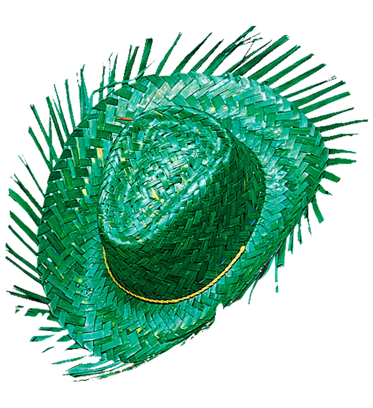Miniatuur 1